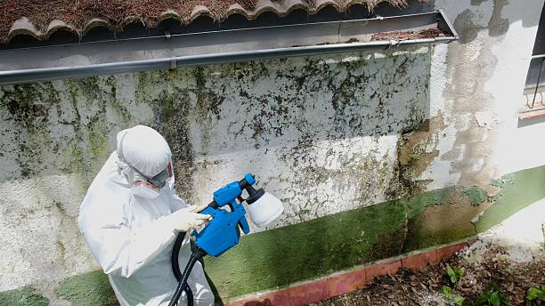 Top rated local Mold Remediation specialists in West Grove, PA